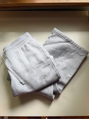 Aritzia Cozy Sweatfleece Perfect Banded Sweatpants